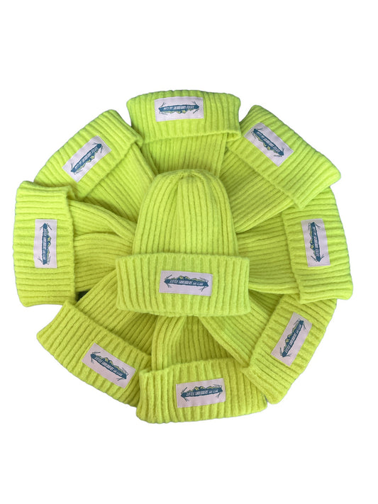 LS highlighter beanie